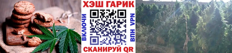 Печенье с ТГК марихуана  mega ССЫЛКА  Артёмовск  как найти  