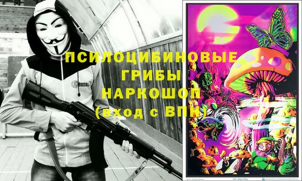 СК Данков